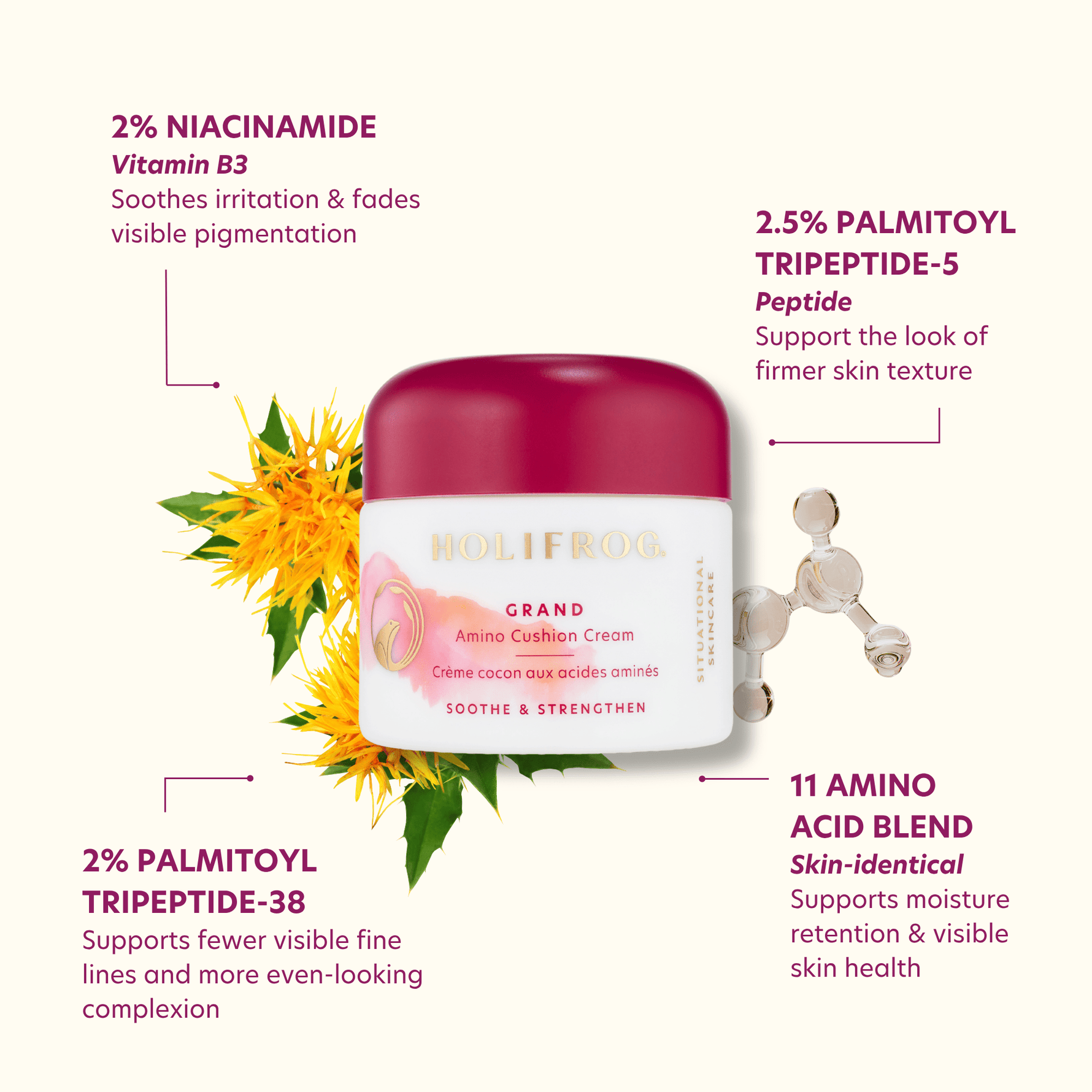 Grand Amino Cushion Cream Retail Holifrog 