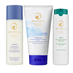 Pore Control Bundle Bundle HoliFrog 