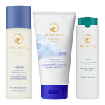 Pore Control Bundle Bundle HoliFrog 